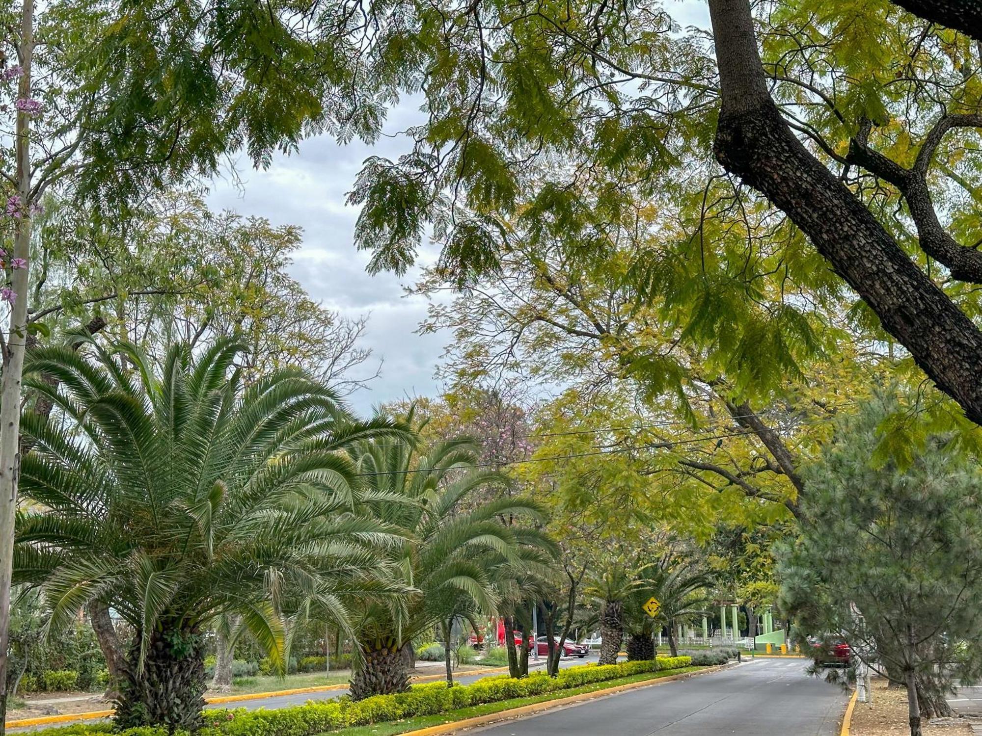 Refugio Agradable En Chapalita Estilo Clasico 12 Guadalajara Exterior foto